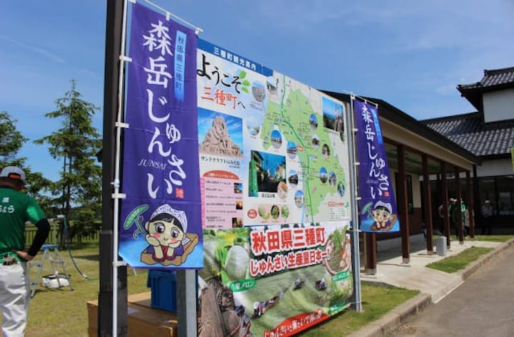 じゅんさい旬まつり