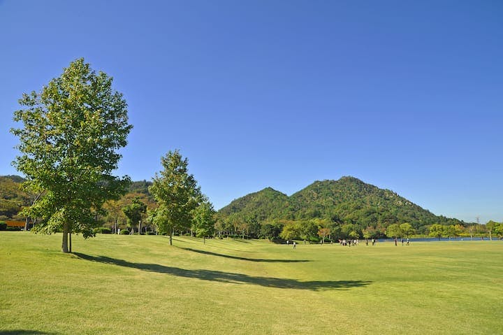 希望が丘文化公園