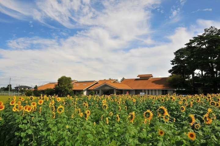 スポットの写真