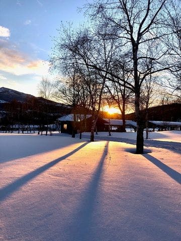 スポットの写真