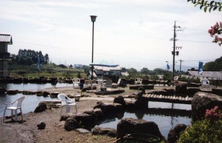 スポットの写真