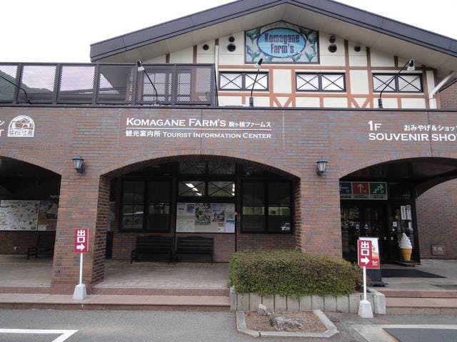 スポットの写真