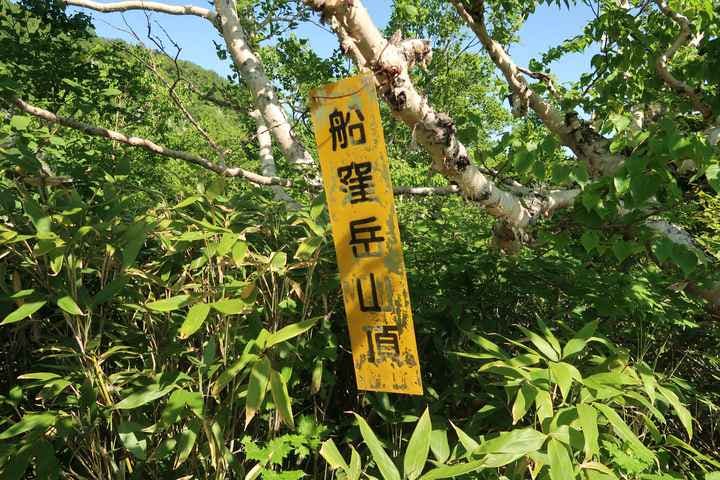 スポットの写真