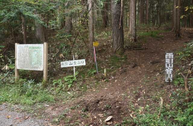 スポットの写真