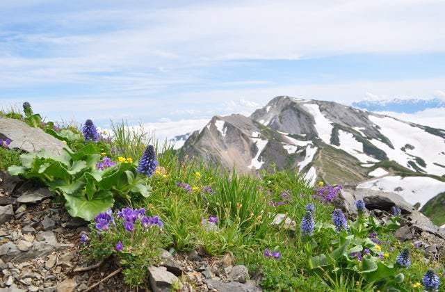 スポットの写真