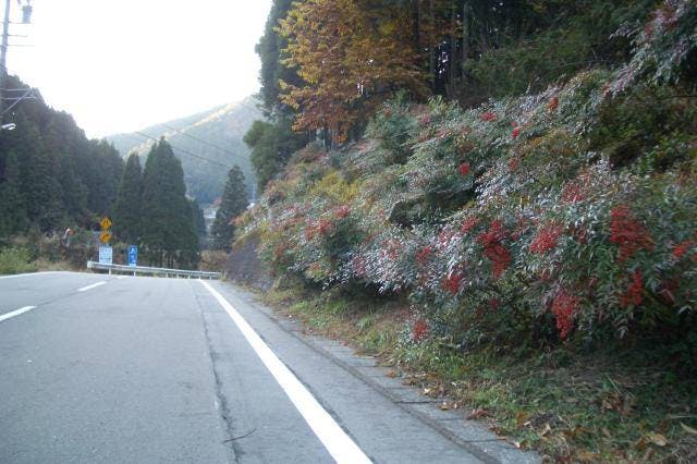 スポットの写真