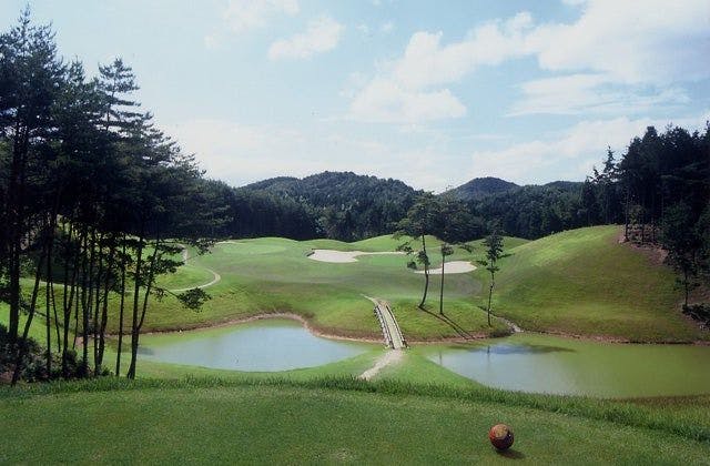 スポットの写真