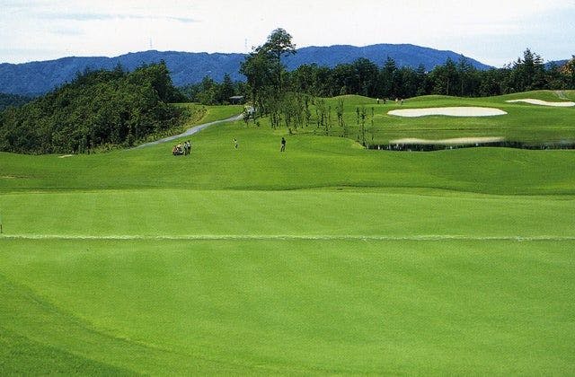 スポットの写真