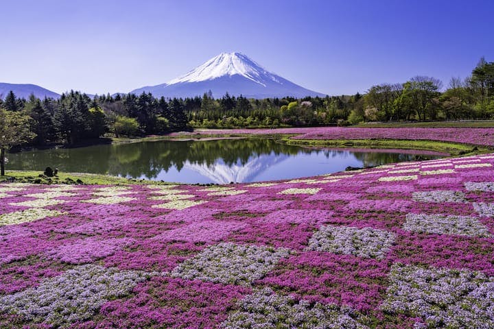 富士本栖湖リゾート