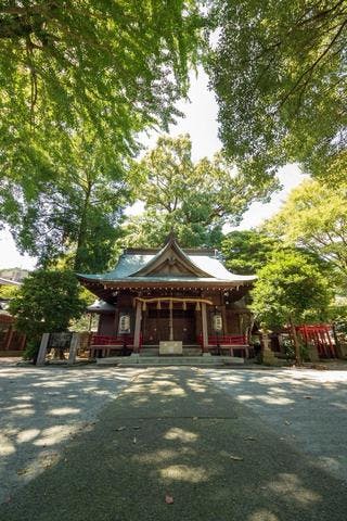 スポットの写真