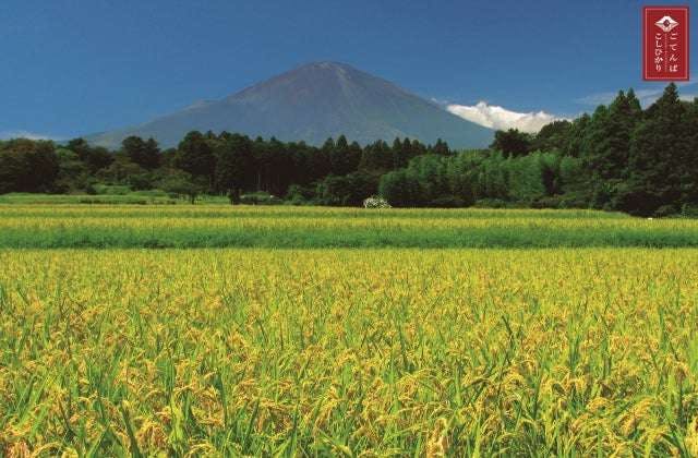 スポットの写真