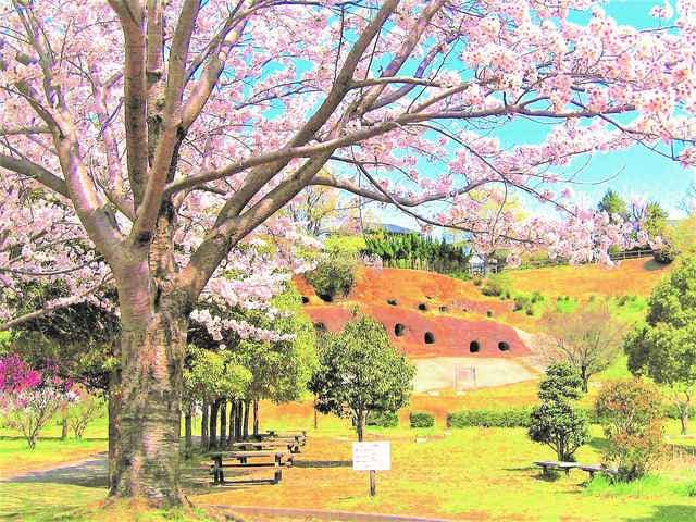 スポットの写真