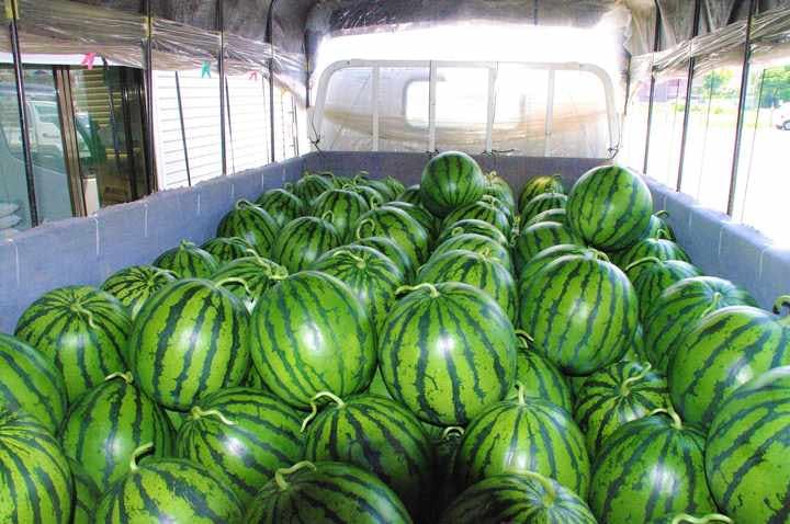 スポットの写真