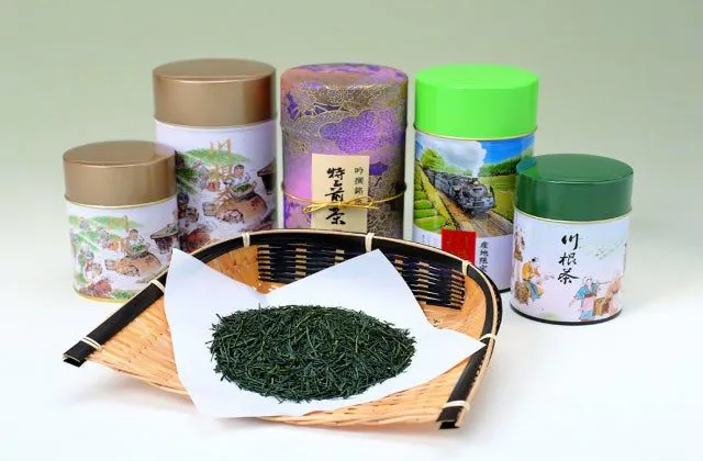 スポットの写真