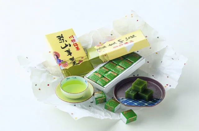 スポットの写真