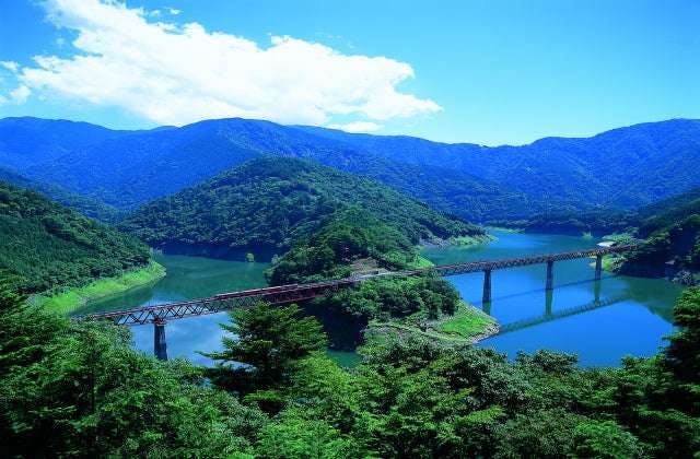 スポットの写真