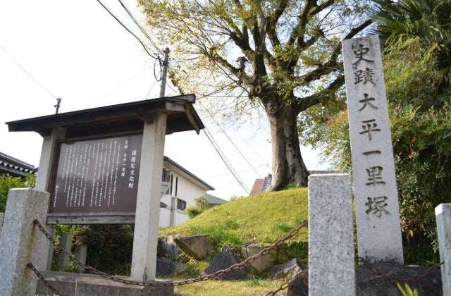 スポットの写真