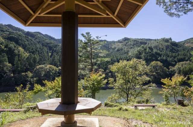 スポットの写真