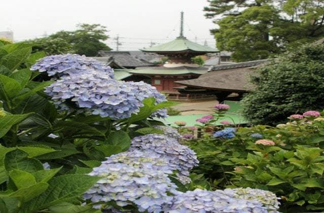 スポットの写真