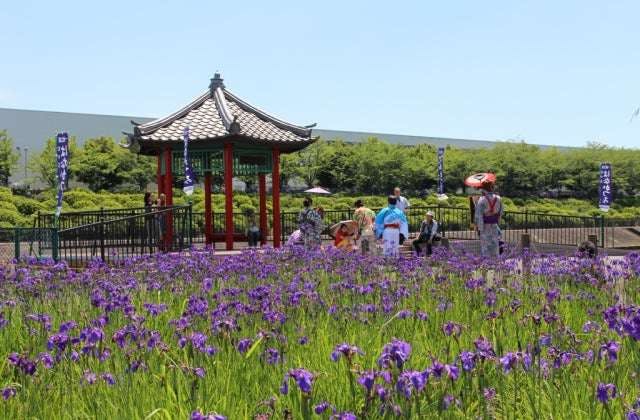 スポットの写真