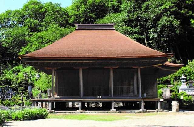 スポットの写真