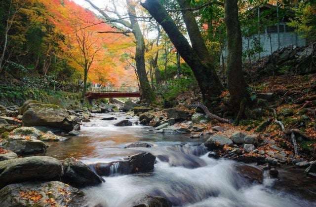 スポットの写真