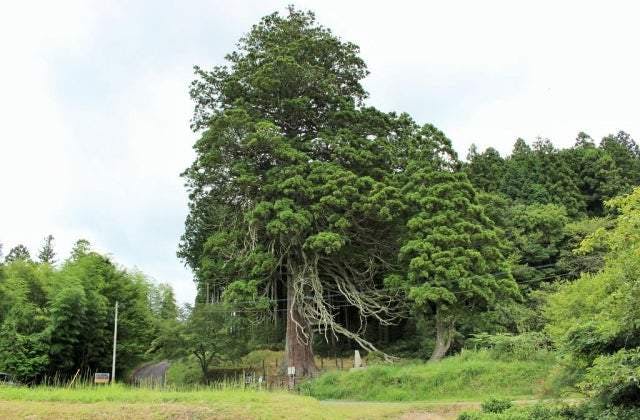 スポットの写真