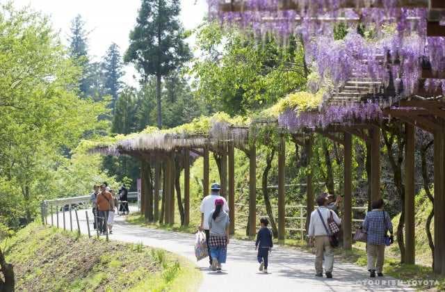 スポットの写真