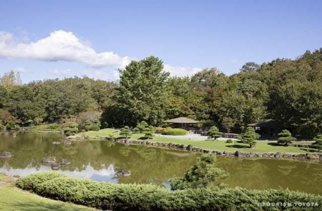 スポットの写真