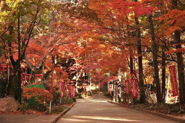 【2022年】医王山油山寺の紅葉