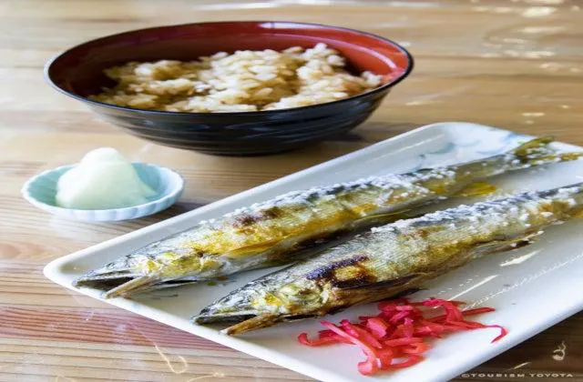 スポットの写真