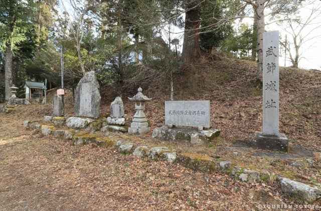 スポットの写真