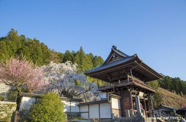 スポットの写真