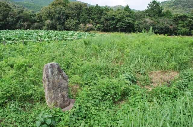 スポットの写真