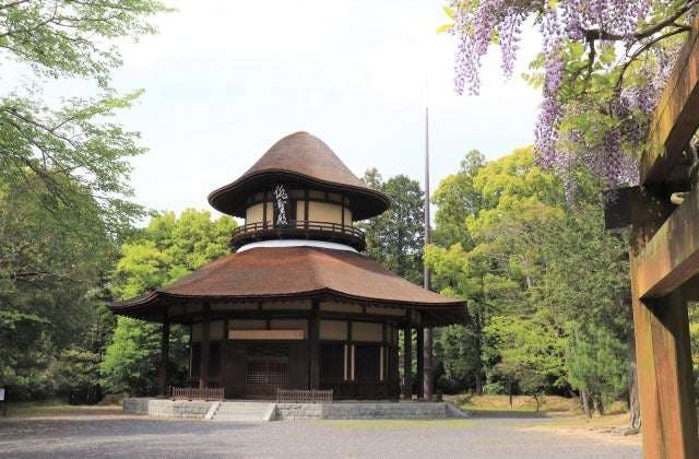 スポットの写真