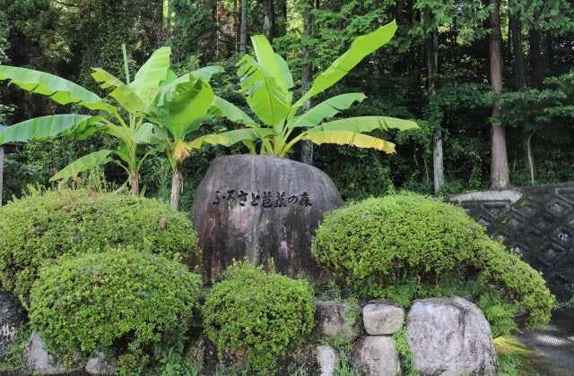 スポットの写真