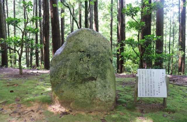 スポットの写真