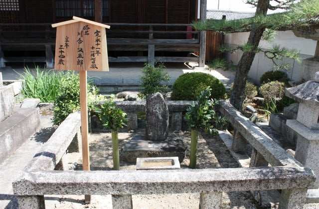 スポットの写真