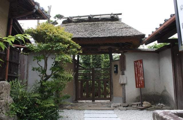 スポットの写真