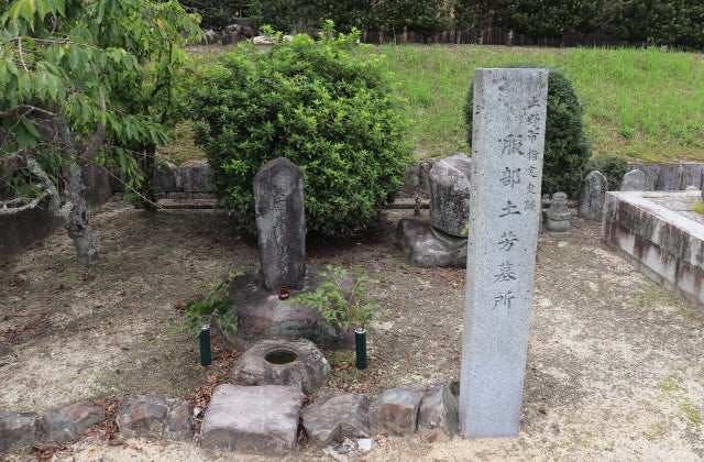 スポットの写真