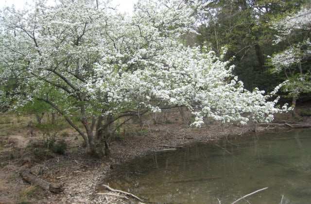 スポットの写真