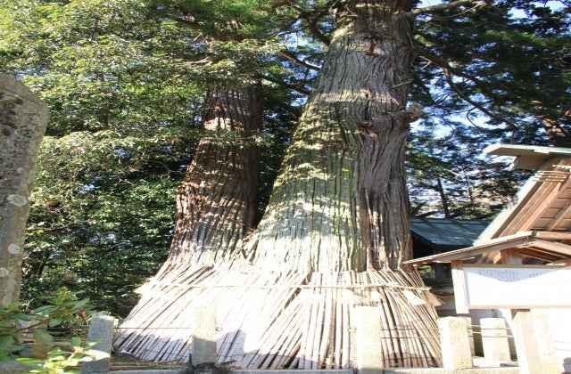 スポットの写真