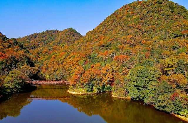 スポットの写真