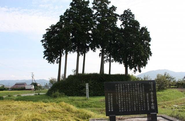 スポットの写真