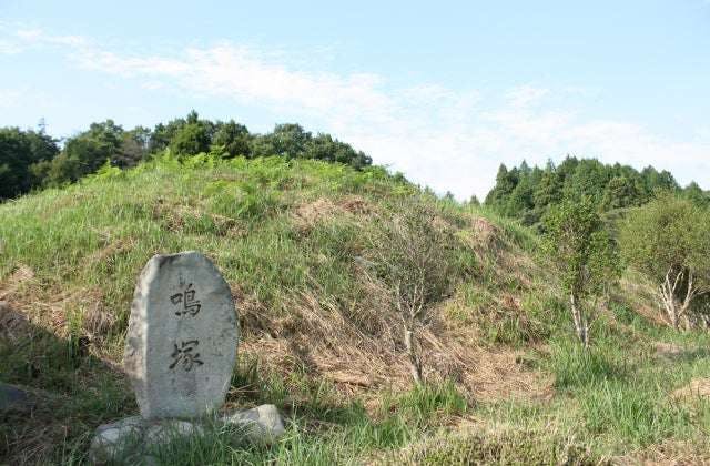 スポットの写真