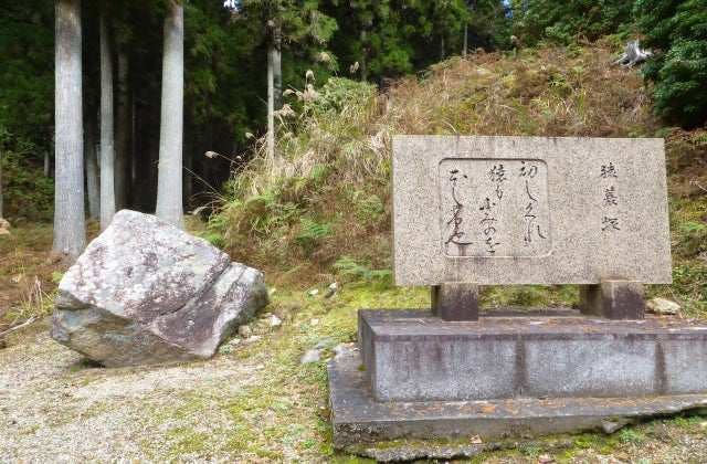 スポットの写真