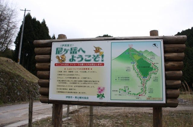 スポットの写真