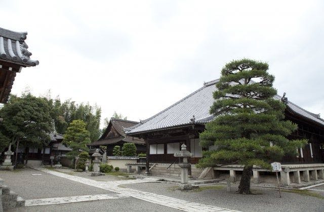 スポットの写真