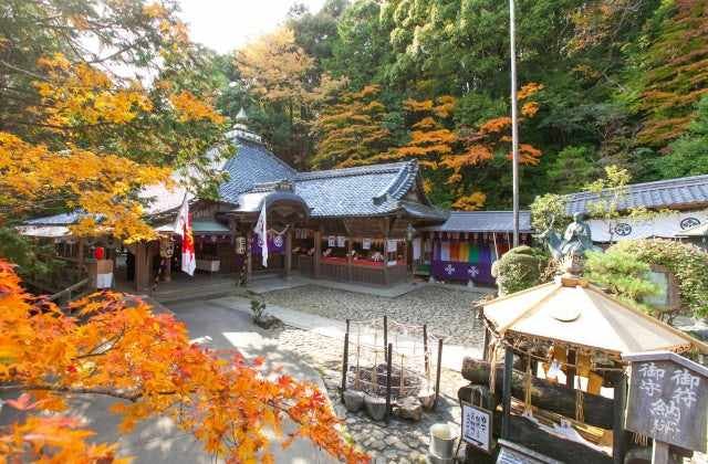 スポットの写真