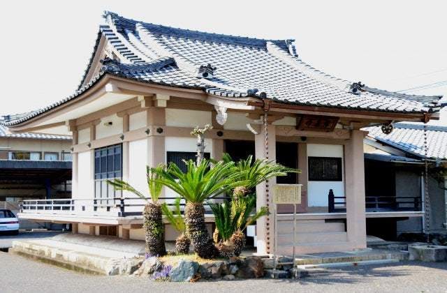 スポットの写真